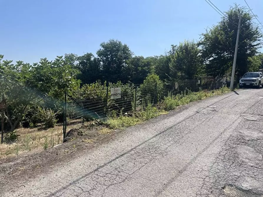 Immagine 1 di Terreno agricolo in vendita  in Contrada Castello a Atripalda