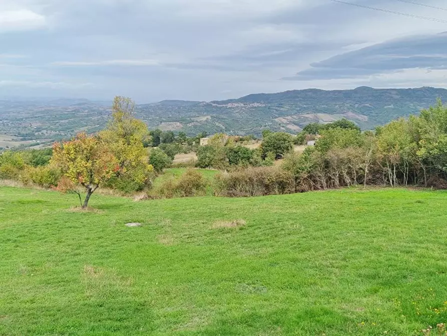Immagine 14 di Casa indipendente in vendita  in Contrada Fossi a Guardia Lombardi