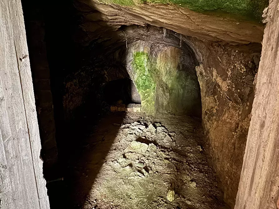 Immagine 3 di Casa semindipendente in vendita  in VIA PORTA SANT'ANNA SNC a Greci