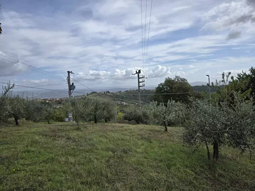 Immagine 2 di Terreno residenziale in vendita  in contrada Marotta a Montefusco