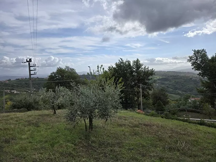 Immagine 3 di Terreno residenziale in vendita  in contrada Marotta a Montefusco