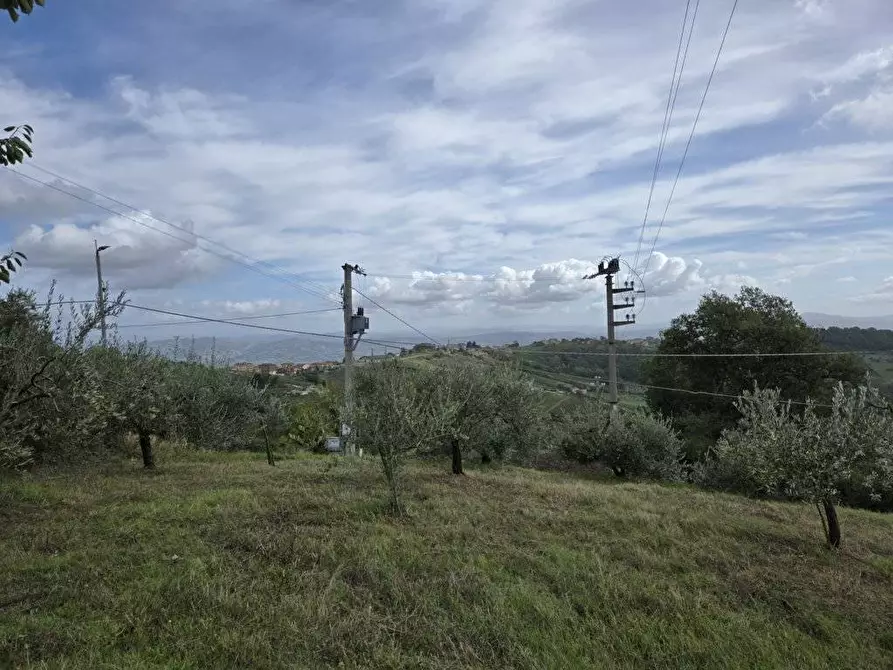 Immagine 4 di Terreno residenziale in vendita  in contrada Marotta a Montefusco