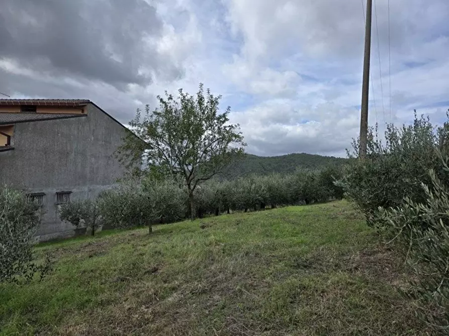 Immagine 5 di Terreno residenziale in vendita  in contrada Marotta a Montefusco