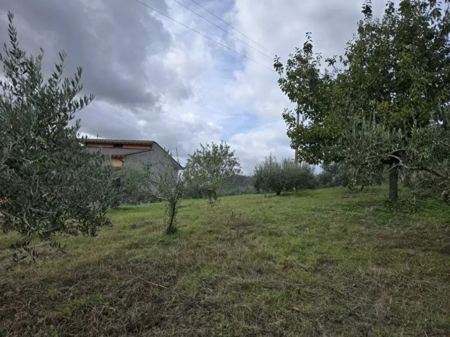 Immagine 6 di Terreno residenziale in vendita  in contrada Marotta a Montefusco