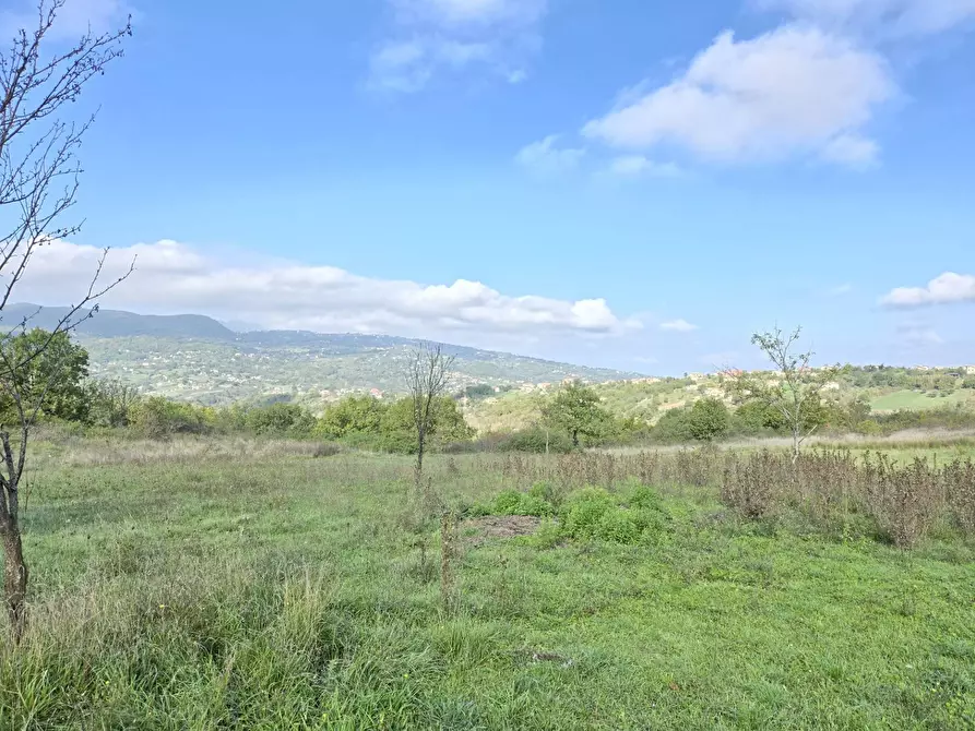 Immagine 1 di Terreno agricolo in vendita  in C/da chianola a Nusco