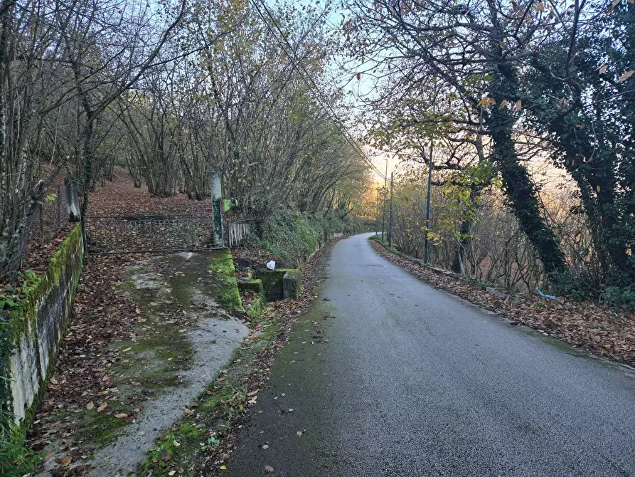 Immagine 3 di Terreno agricolo in vendita  in Via san prisco a Manocalzati