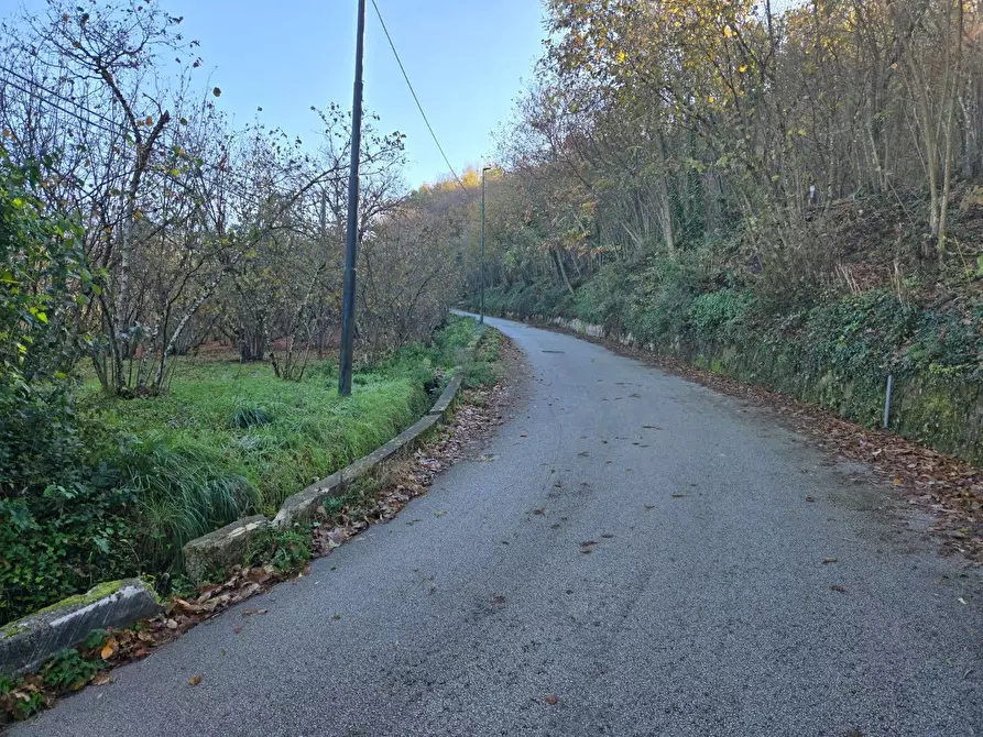 Immagine 4 di Terreno agricolo in vendita  in Via san prisco a Manocalzati