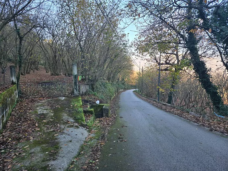Immagine 5 di Terreno agricolo in vendita  in Via san prisco a Manocalzati
