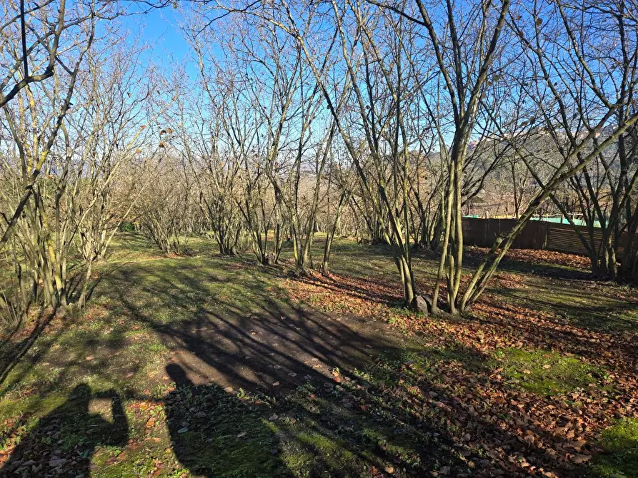 Immagine 8 di Terreno agricolo in vendita  in Via san prisco a Manocalzati