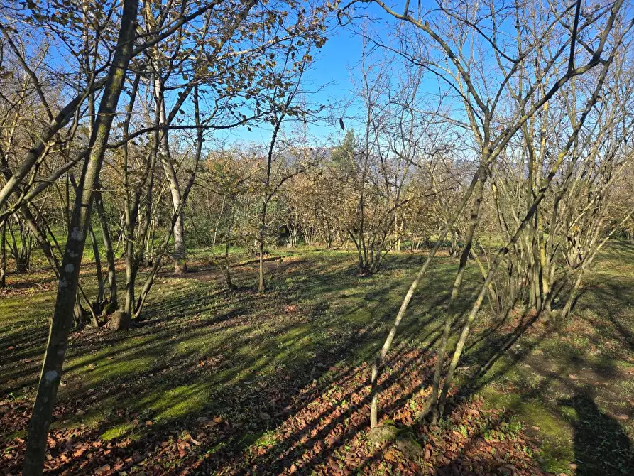 Immagine 1 di Terreno agricolo in vendita  in Via san prisco a Manocalzati