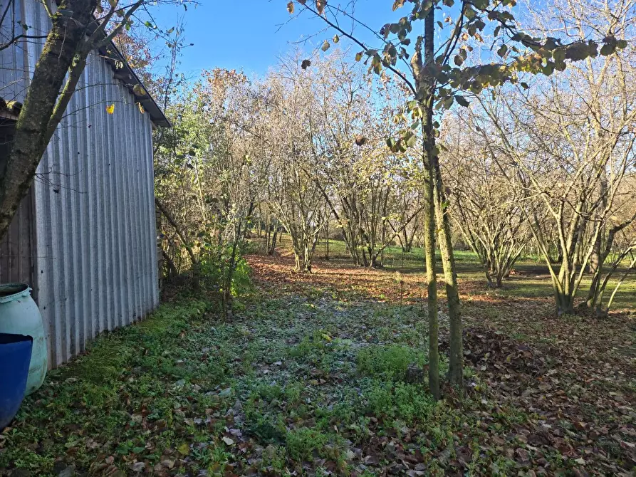 Immagine 12 di Terreno agricolo in vendita  in Via san prisco a Manocalzati