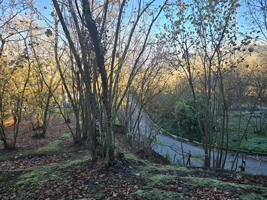 Immagine 13 di Terreno agricolo in vendita  in Via san prisco a Manocalzati