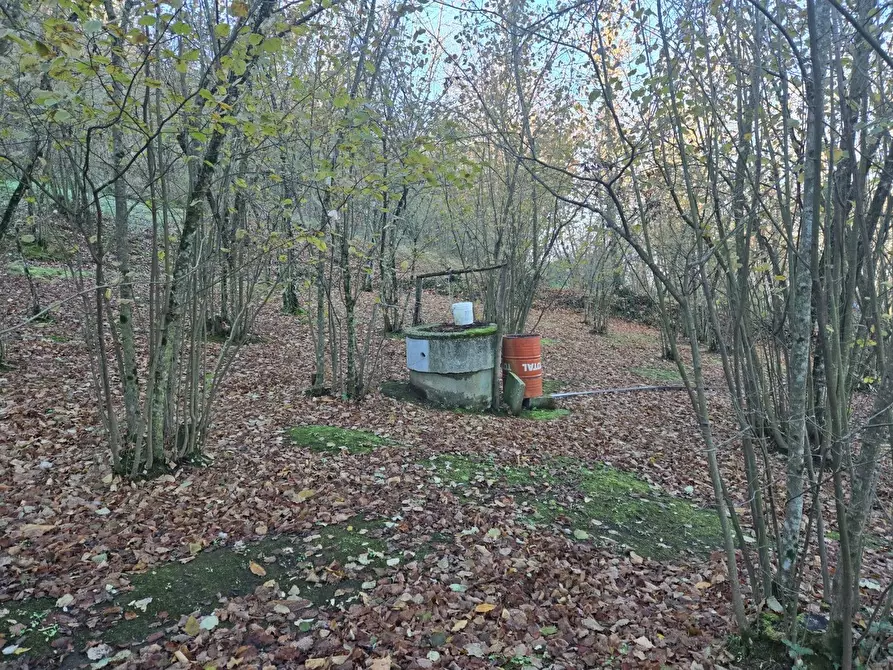 Immagine 16 di Terreno agricolo in vendita  in Via san prisco a Manocalzati