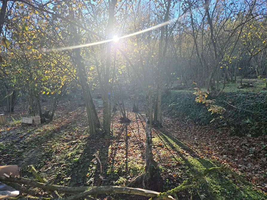 Immagine 18 di Terreno agricolo in vendita  in Via san prisco a Manocalzati