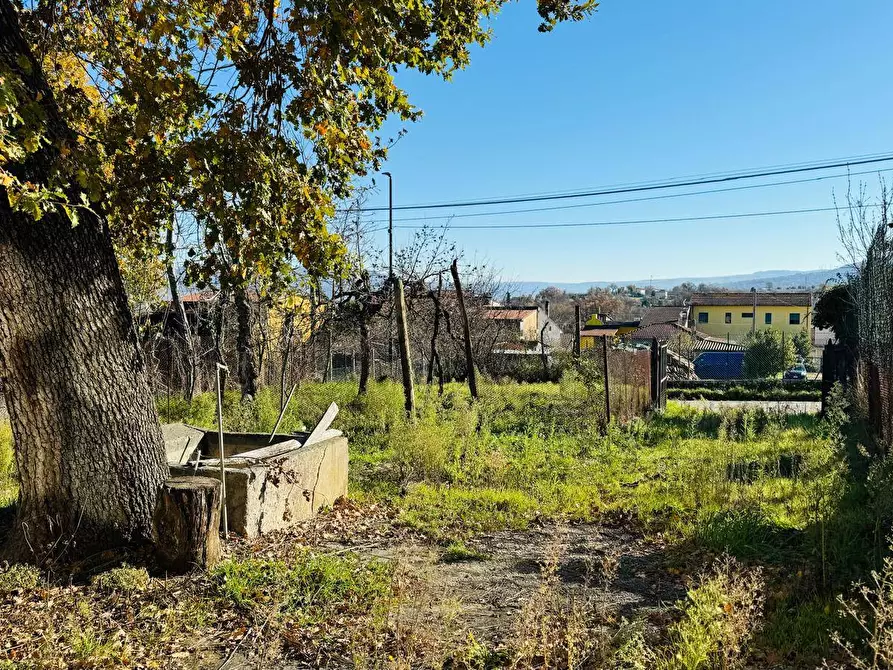 Immagine 4 di Casa semindipendente in vendita  in VIA LUIGI PIRANDELLO 4 a Grottaminarda