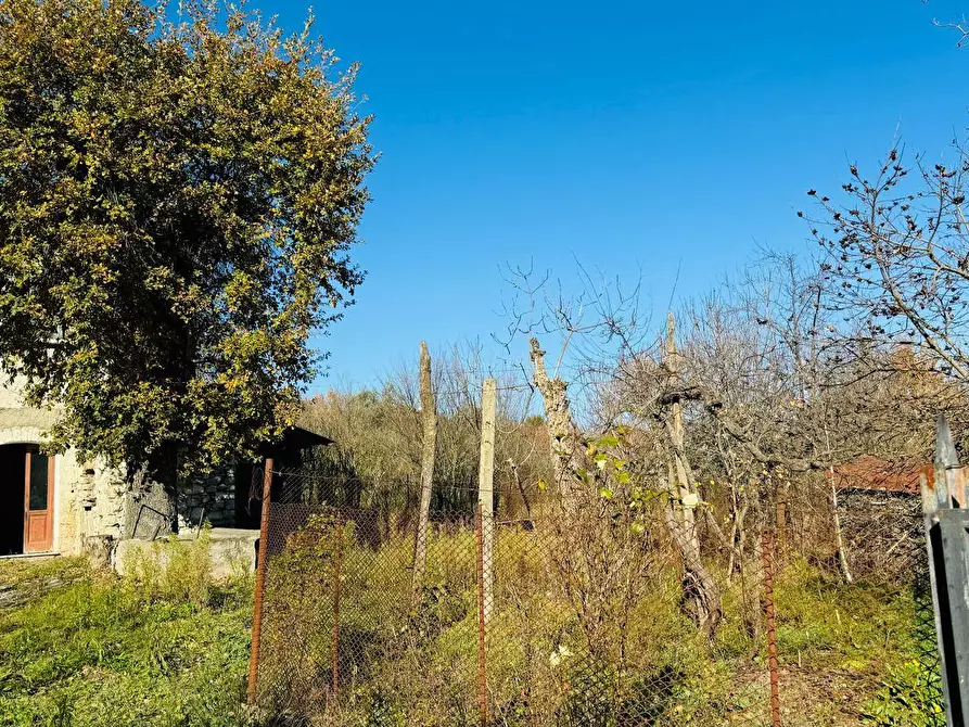 Immagine 3 di Casa semindipendente in vendita  in VIA LUIGI PIRANDELLO 4 a Grottaminarda
