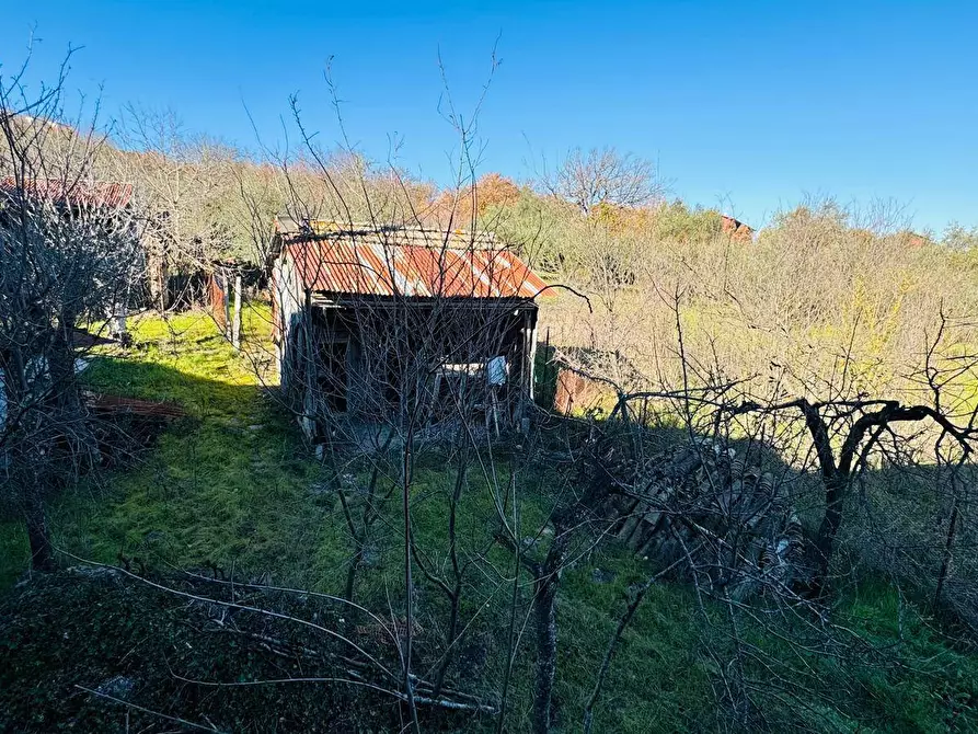 Immagine 16 di Casa semindipendente in vendita  in VIA LUIGI PIRANDELLO 4 a Grottaminarda