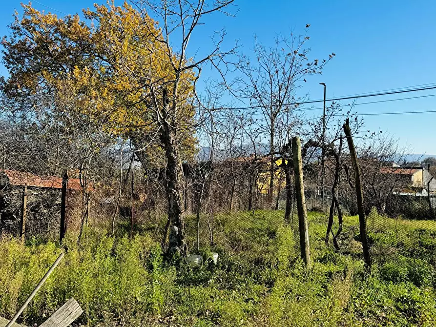 Immagine 17 di Casa semindipendente in vendita  in VIA LUIGI PIRANDELLO 4 a Grottaminarda