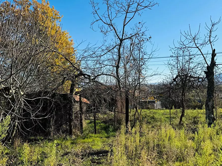 Immagine 18 di Casa semindipendente in vendita  in VIA LUIGI PIRANDELLO 4 a Grottaminarda