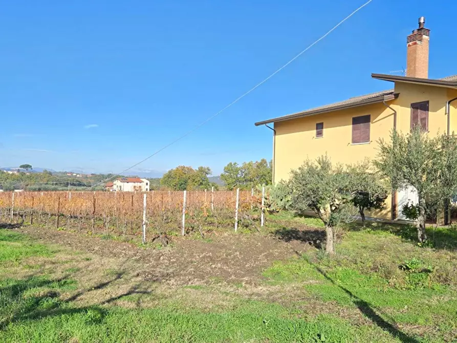 Immagine 6 di Casa semindipendente in vendita  in Contrada Sant'Andrea 13 a Paternopoli