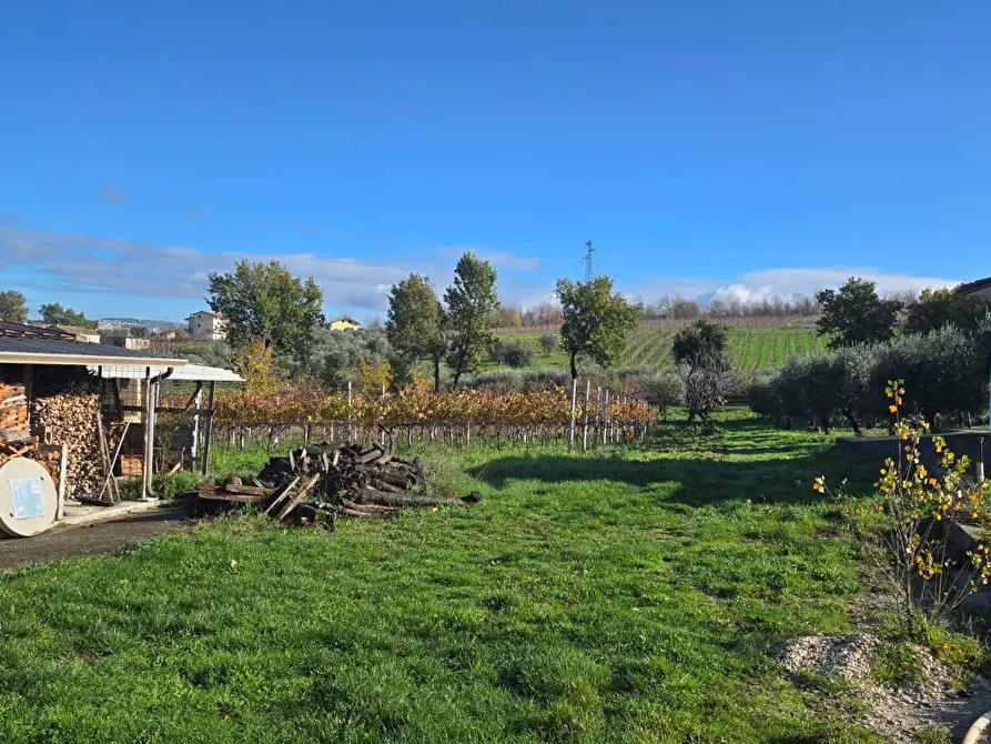 Immagine 11 di Casa semindipendente in vendita  in Contrada Sant'Andrea 13 a Paternopoli