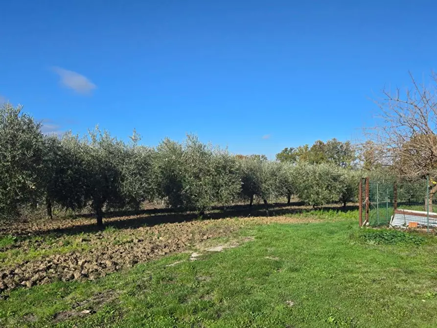 Immagine 12 di Casa semindipendente in vendita  in Contrada Sant'Andrea 13 a Paternopoli