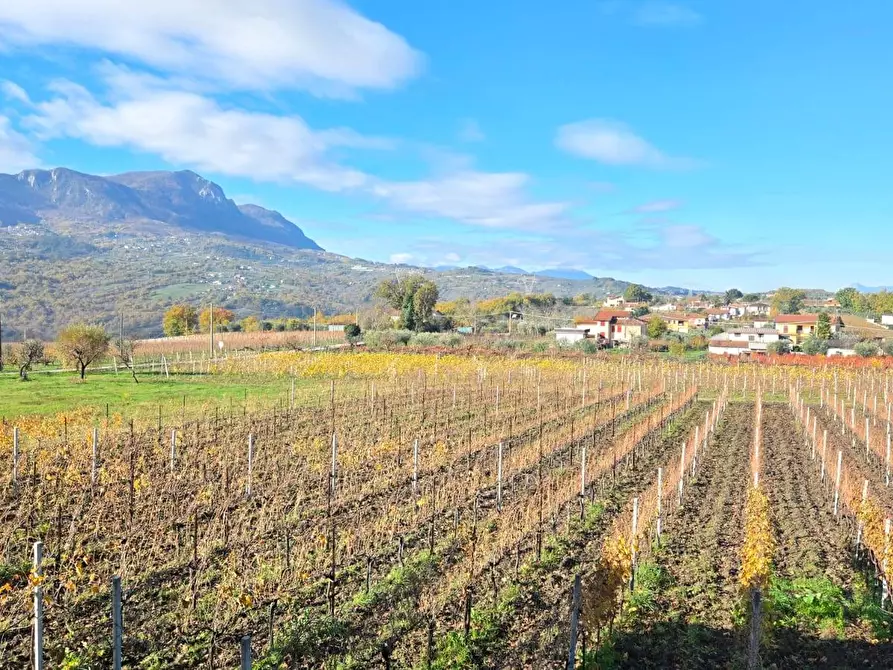 Immagine 13 di Casa semindipendente in vendita  in Contrada Sant'Andrea 13 a Paternopoli