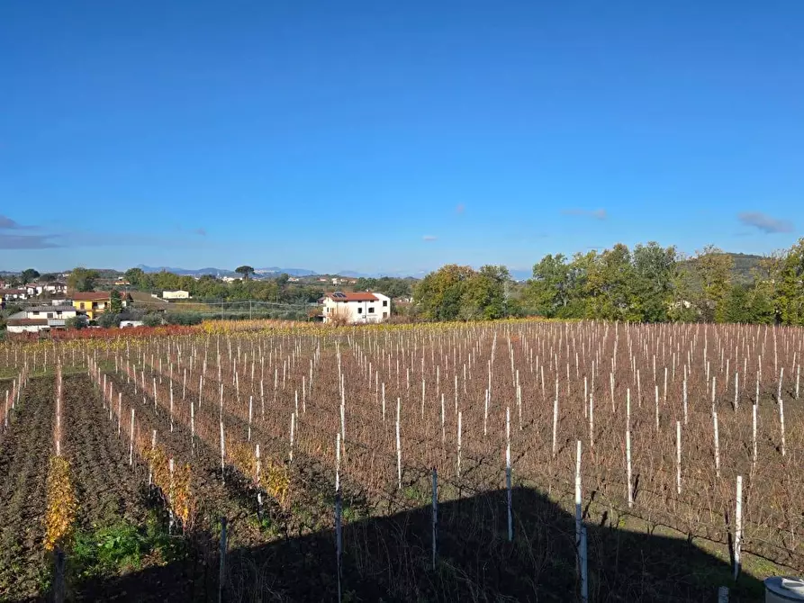 Immagine 14 di Casa semindipendente in vendita  in Contrada Sant'Andrea 13 a Paternopoli
