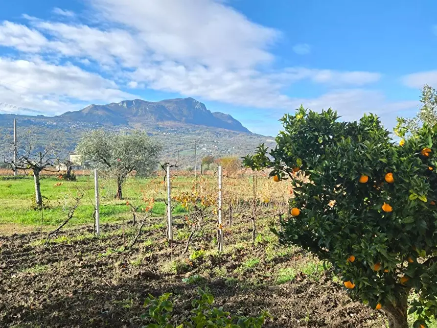 Immagine 37 di Casa semindipendente in vendita  in Contrada Sant'Andrea 13 a Paternopoli