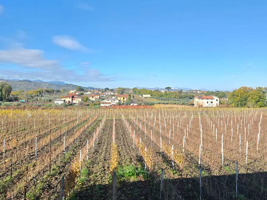 Immagine 39 di Casa semindipendente in vendita  in Contrada Sant'Andrea 13 a Paternopoli