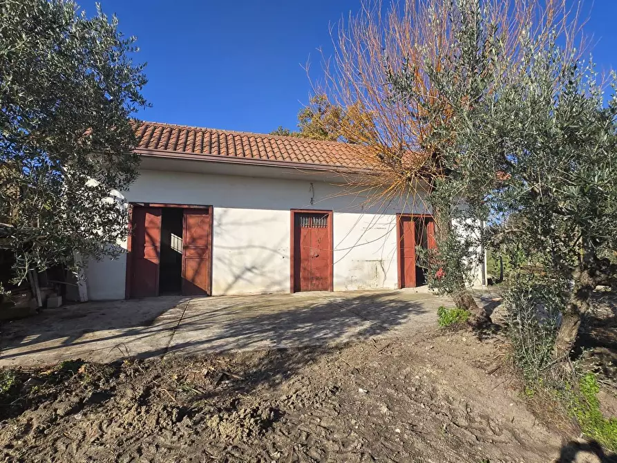 Immagine 1 di Casa indipendente in vendita  in Contrada Pescocupo a Paternopoli