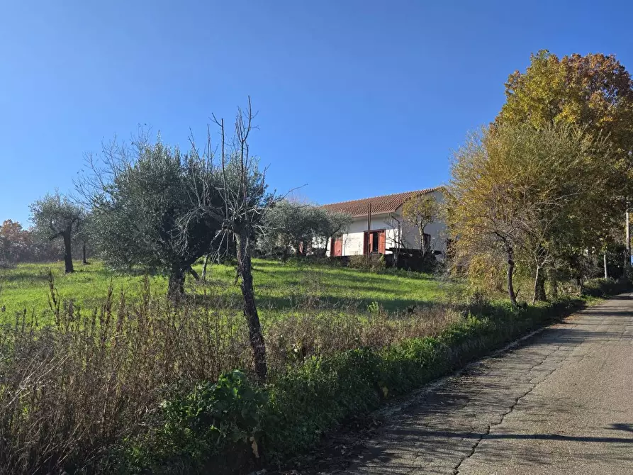 Immagine 3 di Casa indipendente in vendita  in Contrada Pescocupo a Paternopoli