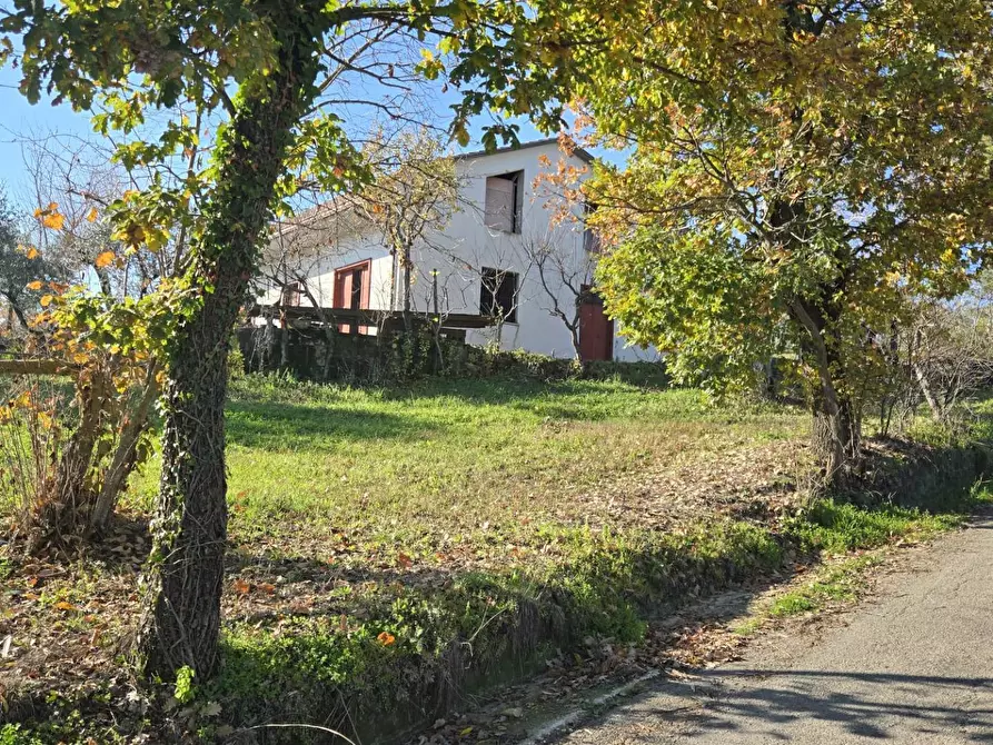 Immagine 4 di Casa indipendente in vendita  in Contrada Pescocupo a Paternopoli