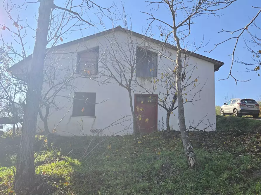 Immagine 6 di Casa indipendente in vendita  in Contrada Pescocupo a Paternopoli