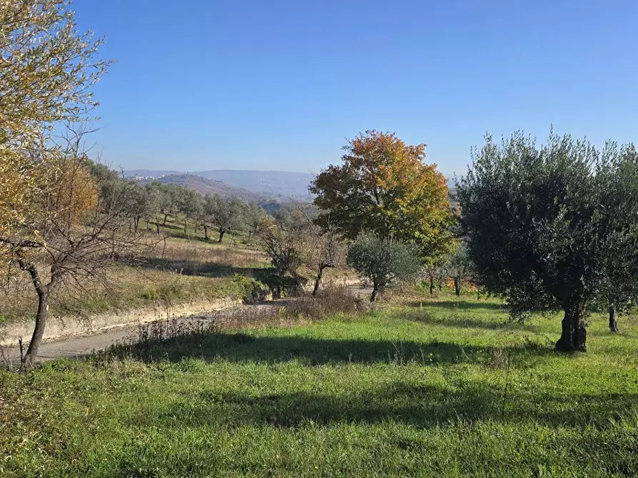 Immagine 7 di Casa indipendente in vendita  in Contrada Pescocupo a Paternopoli