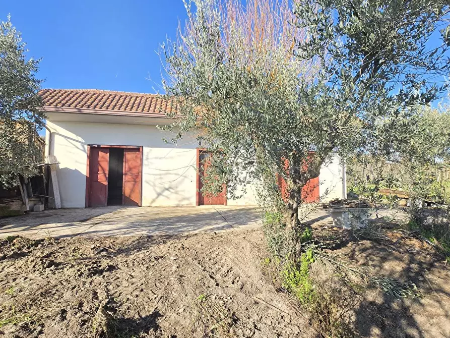 Immagine 8 di Casa indipendente in vendita  in Contrada Pescocupo a Paternopoli