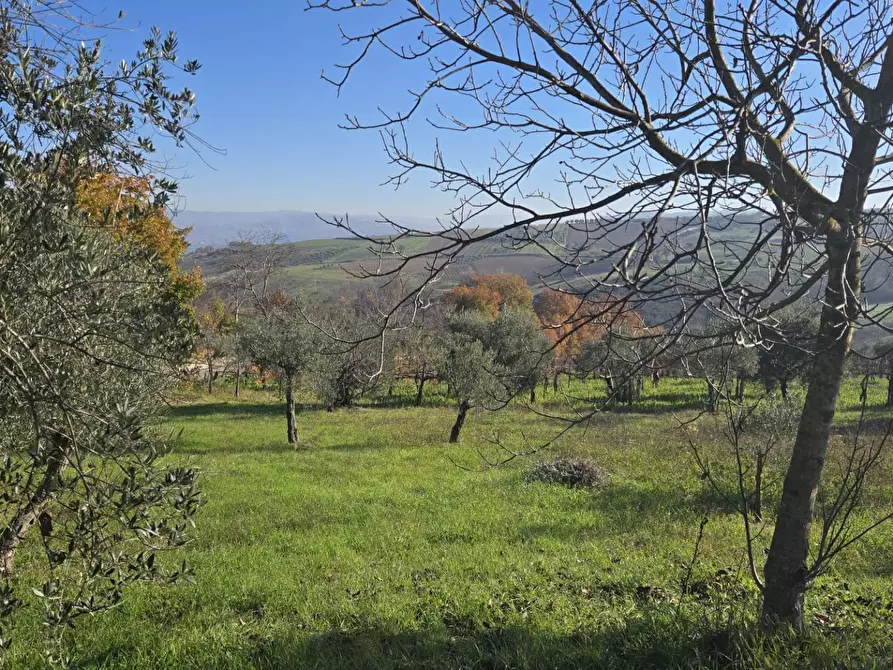 Immagine 10 di Casa indipendente in vendita  in Contrada Pescocupo a Paternopoli