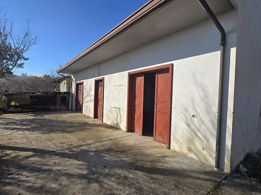 Immagine 11 di Casa indipendente in vendita  in Contrada Pescocupo a Paternopoli