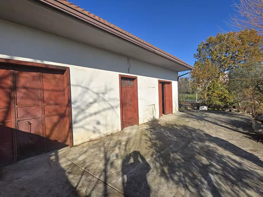 Immagine 12 di Casa indipendente in vendita  in Contrada Pescocupo a Paternopoli