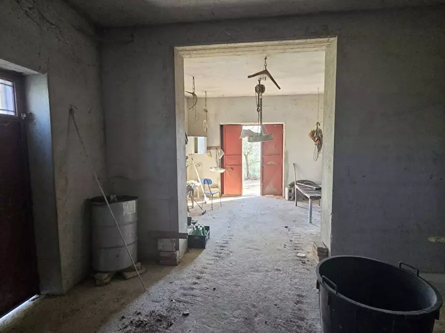 Immagine 14 di Casa indipendente in vendita  in Contrada Pescocupo a Paternopoli
