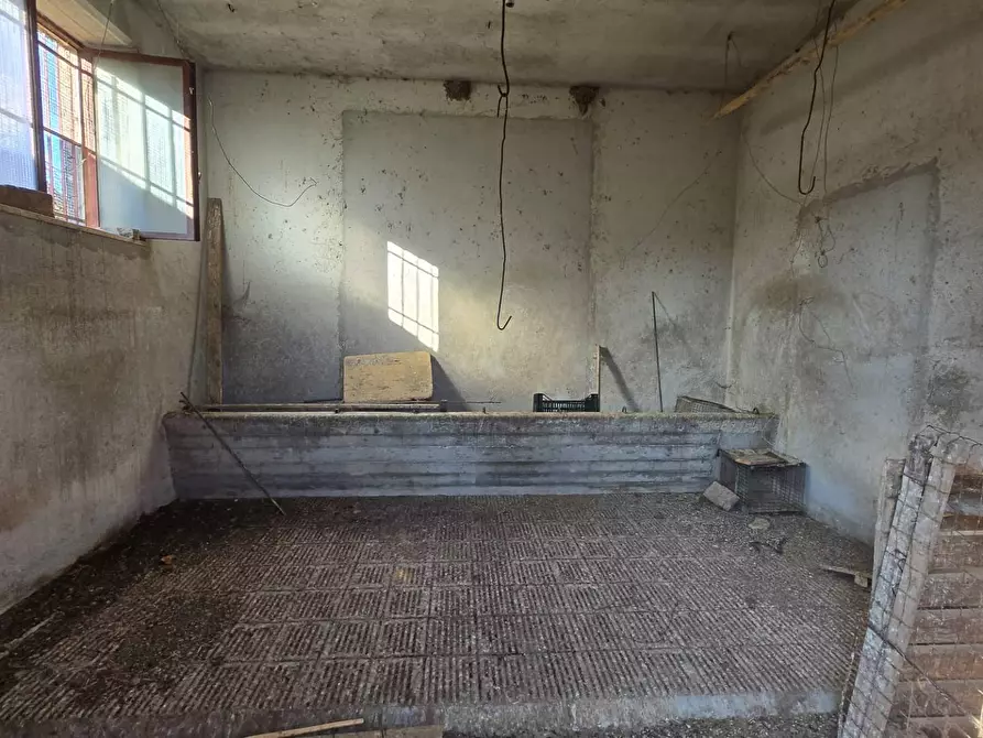 Immagine 15 di Casa indipendente in vendita  in Contrada Pescocupo a Paternopoli