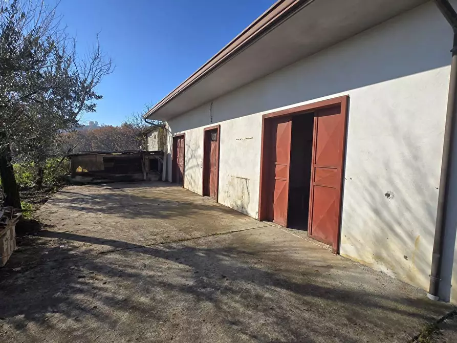 Immagine 19 di Casa indipendente in vendita  in Contrada Pescocupo a Paternopoli