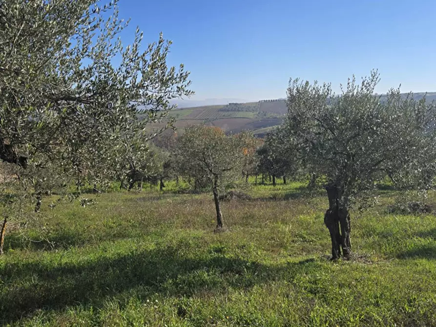 Immagine 21 di Casa indipendente in vendita  in Contrada Pescocupo a Paternopoli