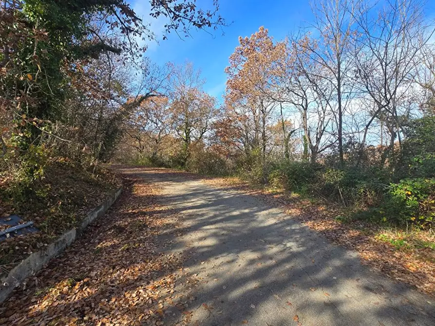 Immagine 1 di Terreno agricolo in vendita  in C/da Cipollara a Castelvetere Sul Calore