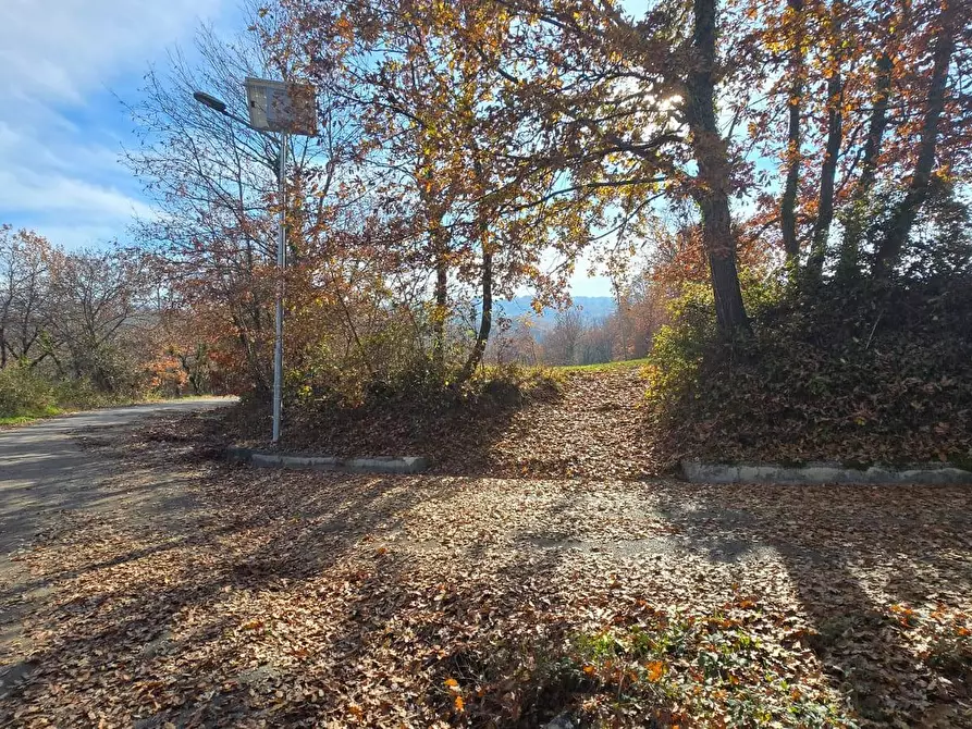 Immagine 2 di Terreno agricolo in vendita  in C/da Cipollara a Castelvetere Sul Calore