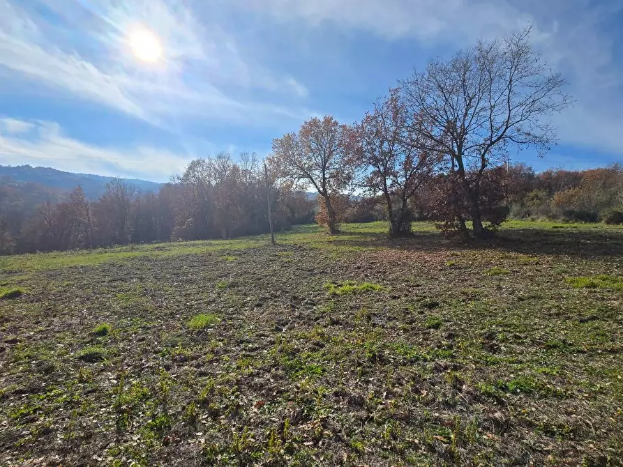 Immagine 3 di Terreno agricolo in vendita  in C/da Cipollara a Castelvetere Sul Calore
