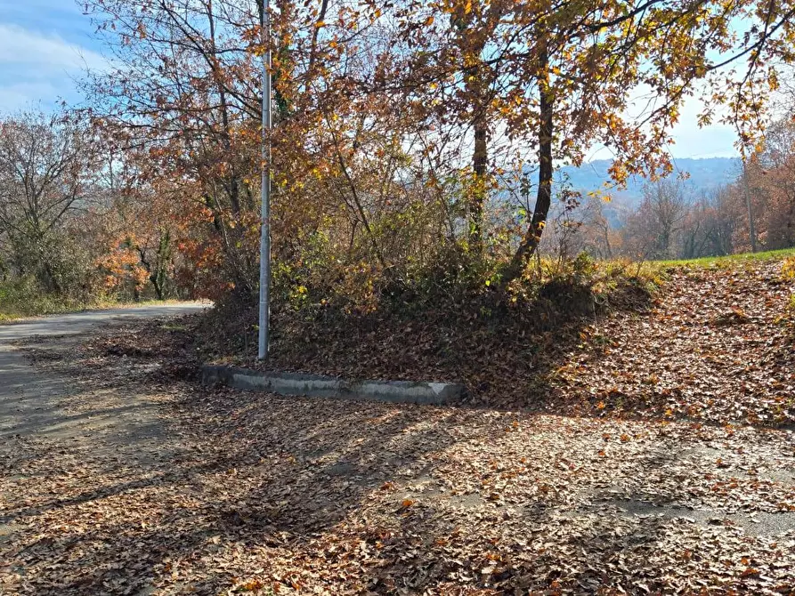 Immagine 6 di Terreno agricolo in vendita  in C/da Cipollara a Castelvetere Sul Calore