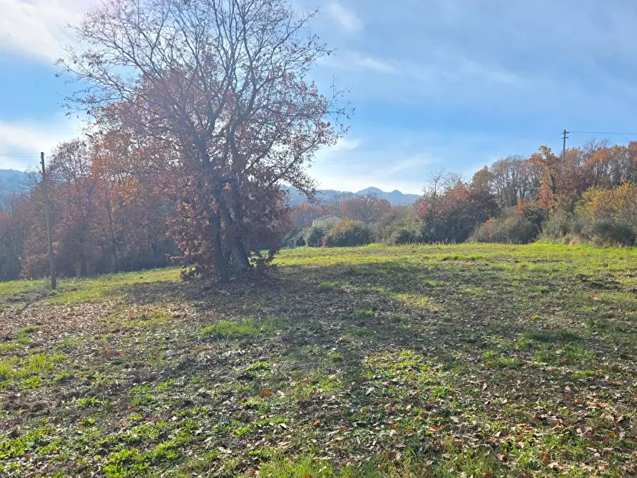 Immagine 7 di Terreno agricolo in vendita  in C/da Cipollara a Castelvetere Sul Calore