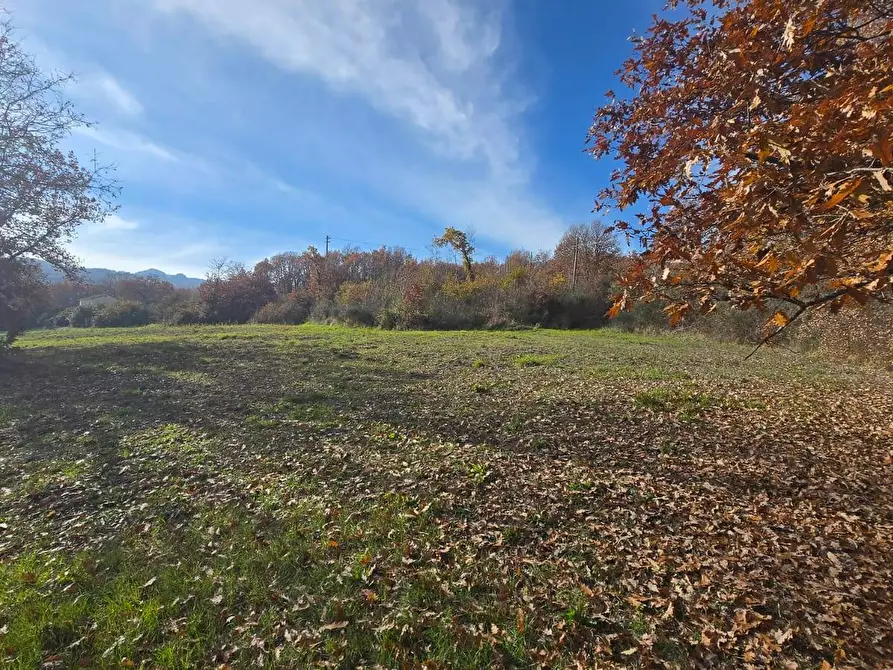 Immagine 8 di Terreno agricolo in vendita  in C/da Cipollara a Castelvetere Sul Calore