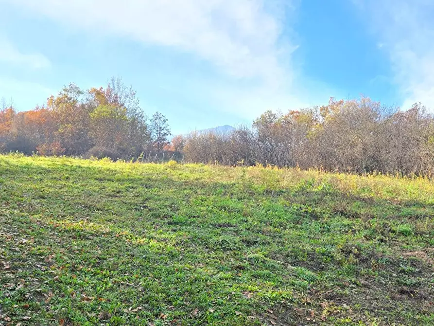 Immagine 10 di Terreno agricolo in vendita  in C/da Cipollara a Castelvetere Sul Calore
